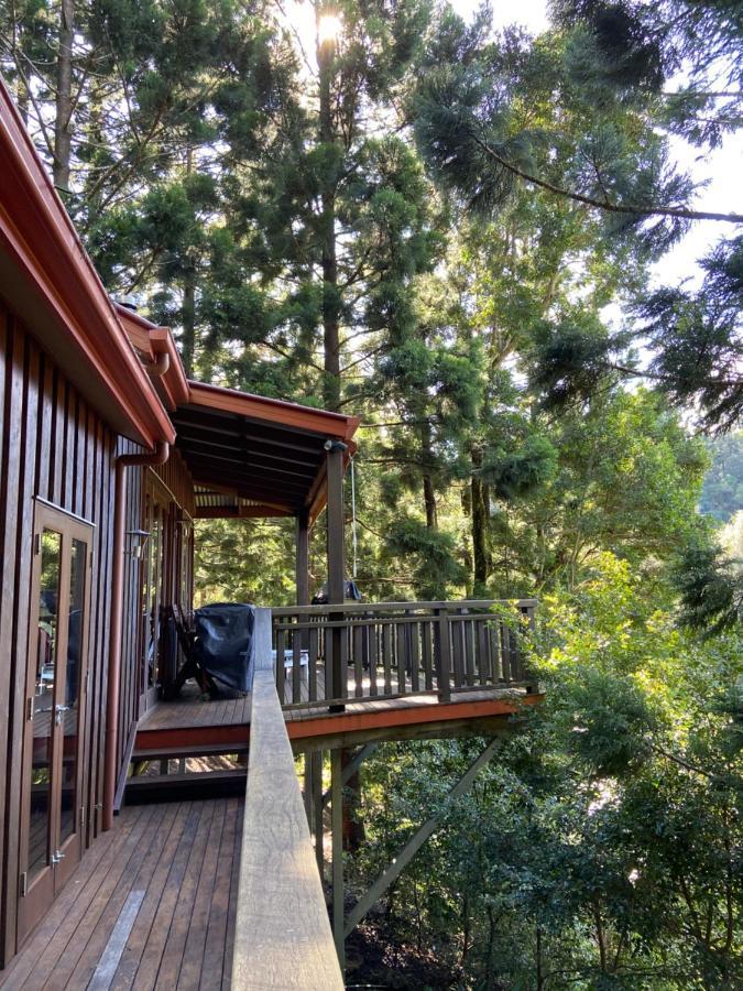 Cottage In The Woods, Maleny Dış mekan fotoğraf
