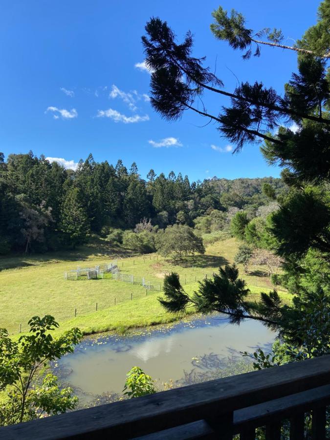 Cottage In The Woods, Maleny Dış mekan fotoğraf