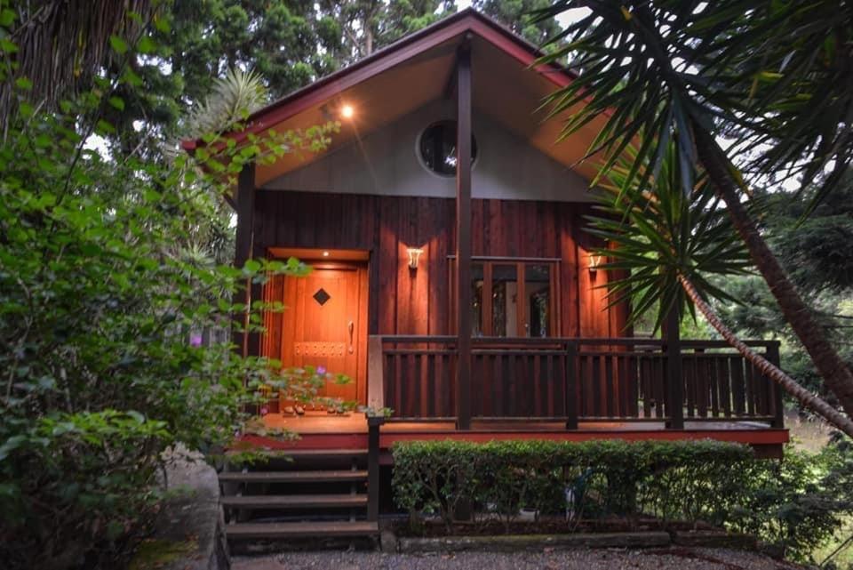 Cottage In The Woods, Maleny Dış mekan fotoğraf