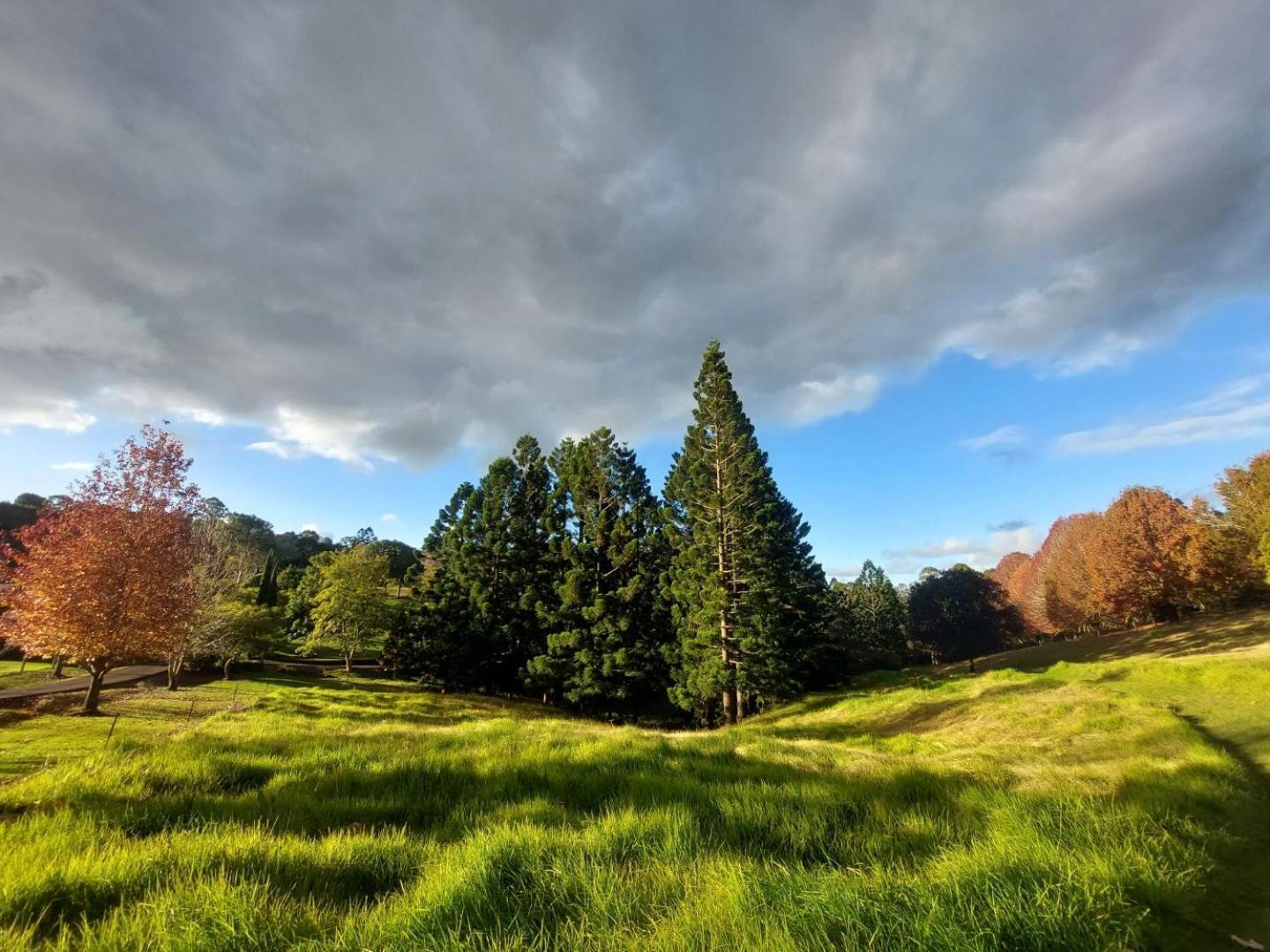 Cottage In The Woods, Maleny Dış mekan fotoğraf
